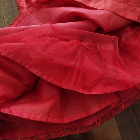Janie and Jack Red Floral Embroidered Organza Dress | Size 3 - Picture 8 of 8
